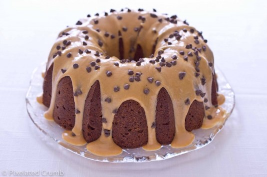 Peanut_Butter_Choco_Chip_Cake-7-1024x681