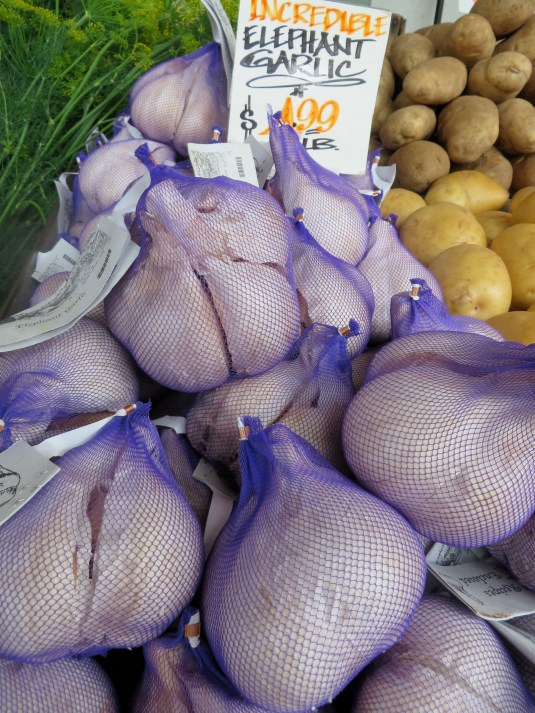 How about some Elephant Garlic?