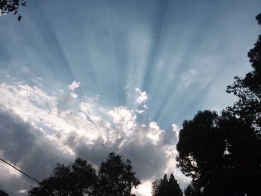 Photo by: Diane Isaacs