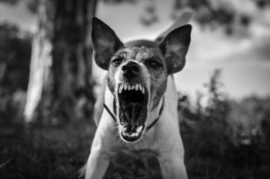 240_F_225181185_AgNkzhxCvyxyvTDGQv7NtNK7PAdPWpCX